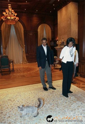 Най-интересни сники за днес - 31.05.2010 г.