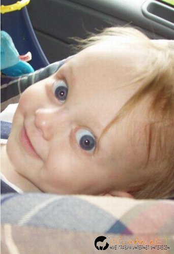 Най-интересни сники за днес - 31.05.2010 г.