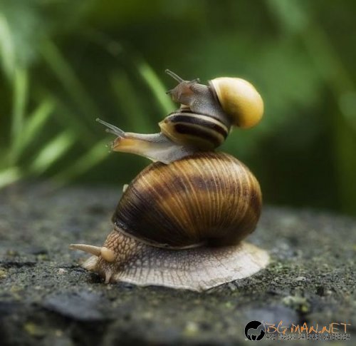 Най-интересни сники за днес - 31.05.2010 г.