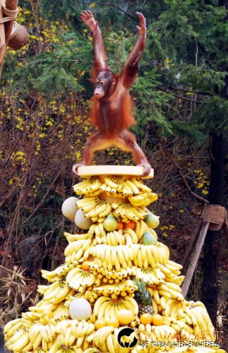 Най-интересни сники за днес - 31.05.2010 г.