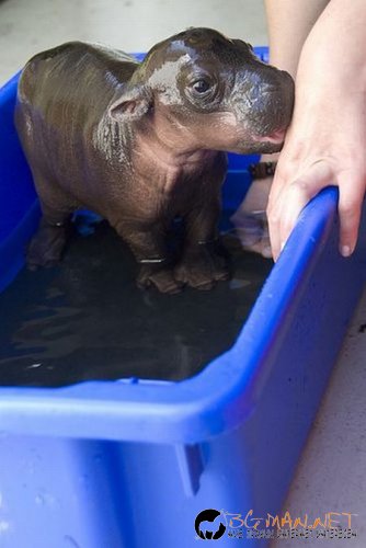 Най-интересни сники за днес - 31.05.2010 г.