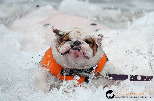 Най-интересни сники за днес - 31.05.2010 г.