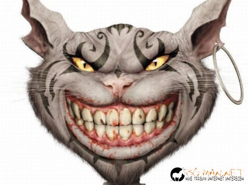 Най-интересни сники за днес - 31.05.2010 г.