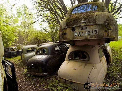 Най-интересни сники за днес - 31.05.2010 г.