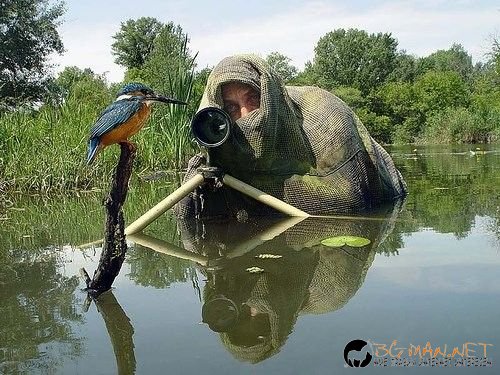 Най-интересните сниМки за днес - 07.06.2010 г.