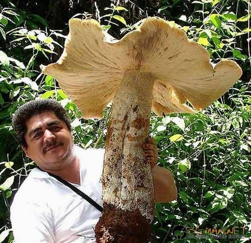 Най-интересните сниМки за днес - 09.06.2010 г.