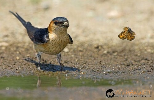 Най-интересните сниМки за днес - 02.06.2010 г.