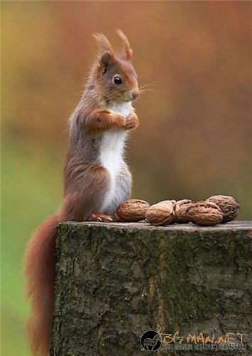 Най-интересните сниМки за днес - 02.06.2010 г.