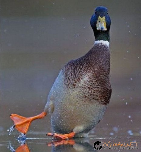 Най-интересните сниМки за днес - 02.06.2010 г.