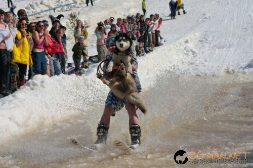 Най-интересните сниМки за днес - 02.06.2010 г.