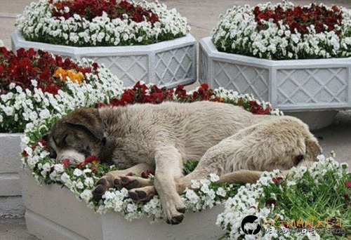 Най-интересните сниМки за днес - 02.06.2010 г.