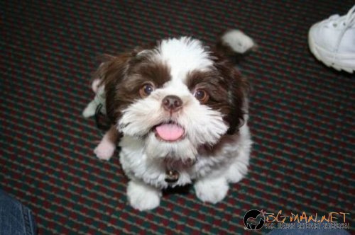 Най-интересните сниМки за днес - 02.06.2010 г.