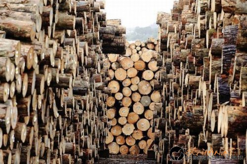 Най-интересните сниМки за днес - 02.06.2010 г.