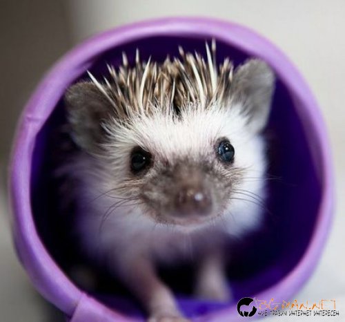 Най-интересните сниМки за днес - 02.06.2010 г.