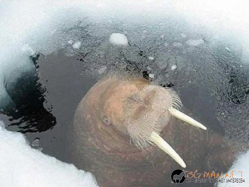 Най-интересните сниМки за днес - 02.06.2010 г.