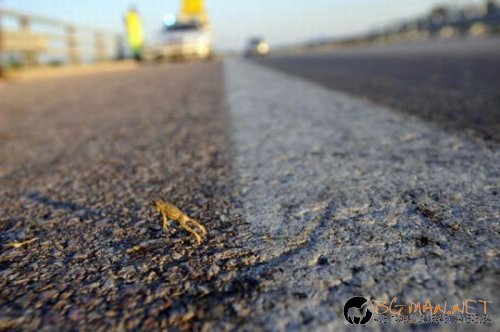 Най-интересните сниМки за днес - 02.06.2010 г.