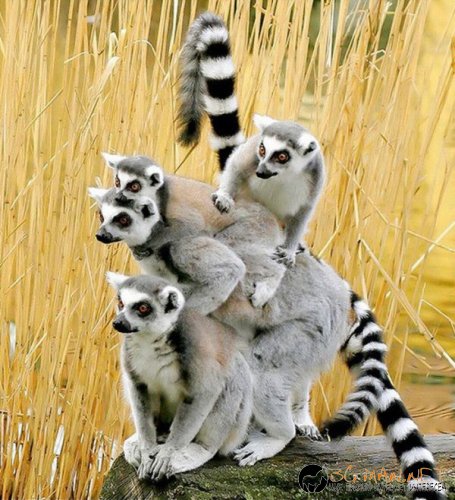 Най-интересните сниМки за днес - 02.06.2010 г.