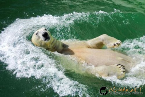 Най-интересните сниМки за днес - 02.06.2010 г.