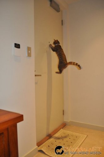 Най-интересните сниМки за днес - 02.06.2010 г.