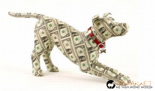 Най-интересните сниМки за днес - 02.06.2010 г.