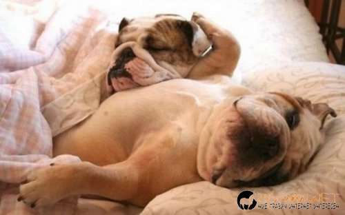 Най-интересните сниМки за днес - 02.06.2010 г.