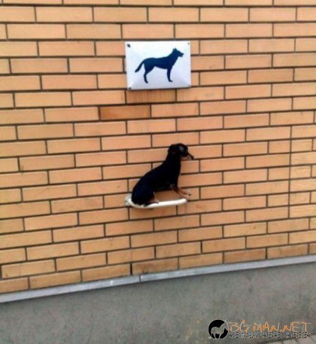 Най-интересните сниМки за днес - 02.06.2010 г.