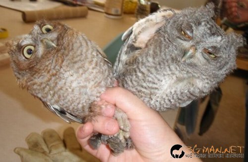 Най-интересните сниМки за днес - 02.06.2010 г.