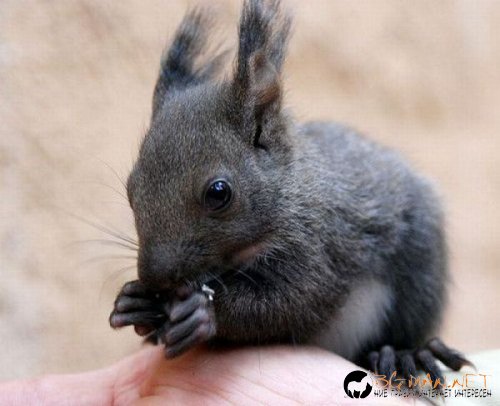 Най-интересните сниМки за днес - 02.06.2010 г.