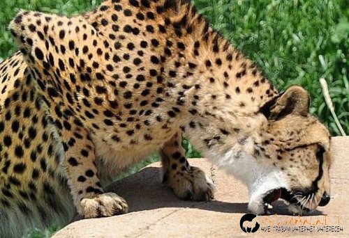 Най-интересните сниМки за днес - 02.06.2010 г.