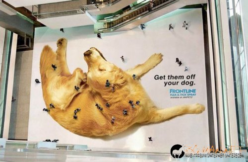 Най-интересните сниМки за днес - 02.06.2010 г.