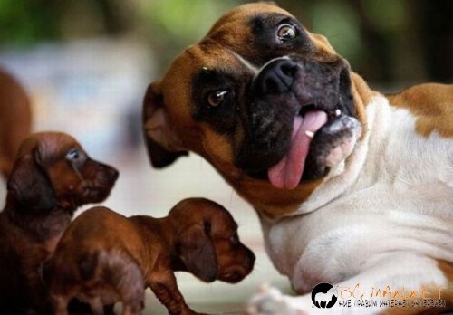 Най-интересните сниМки за днес - 02.06.2010 г.