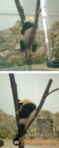 Най-интересните сниМки за днес - 02.06.2010 г.