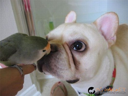 Най-интересните сниМки за днес - 02.06.2010 г.