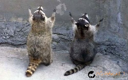 Най-интересните сниМки за днес - 02.06.2010 г.