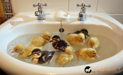 Най-интересните сниМки за днес - 02.06.2010 г.