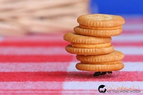 Най-интересните сниМки за днес - 02.06.2010 г.