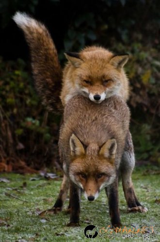 Най-интересните сниМки за днес - 02.06.2010 г.