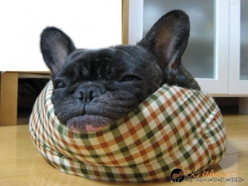 Най-интересните сниМки за днес - 02.06.2010 г.