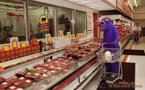 Най-интересните сниМки за днес - 02.06.2010 г.