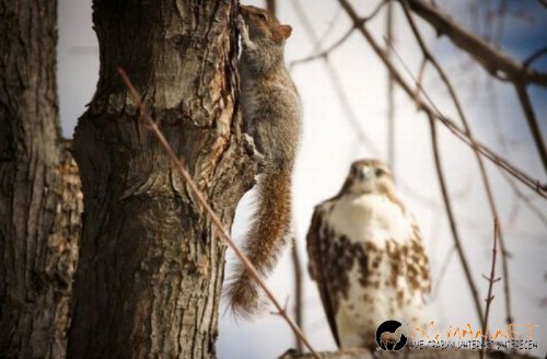 Най-интересните снимки за днес - 03.06.2010 г.