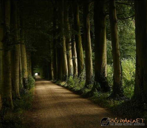 Най-интересните снимки за днес - 03.06.2010 г.