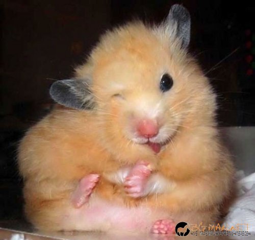 Най-интересните снимки за днес - 03.06.2010 г.