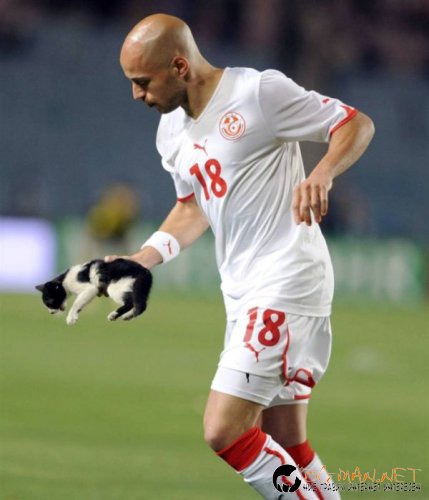 Най-интересните снимки за днес - 03.06.2010 г.