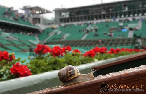 Най-интересните снимки за днес - 03.06.2010 г.