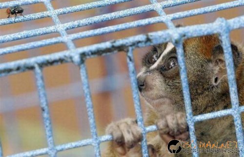 Най-интересните снимки за днес - 03.06.2010 г.