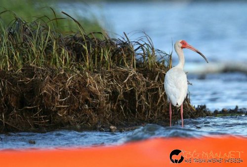 Най-интересните снимки за днес - 03.06.2010 г.