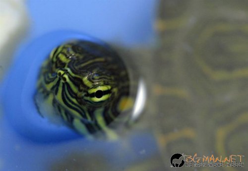 Най-интересните снимки за днес - 03.06.2010 г.