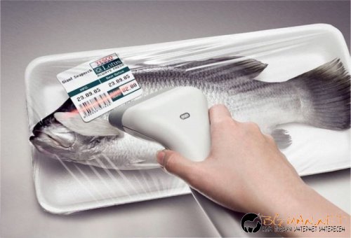 Най-интересните снимки за днес - 03.06.2010 г.