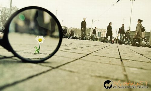 Най-интересните снимки за днес - 03.06.2010 г.