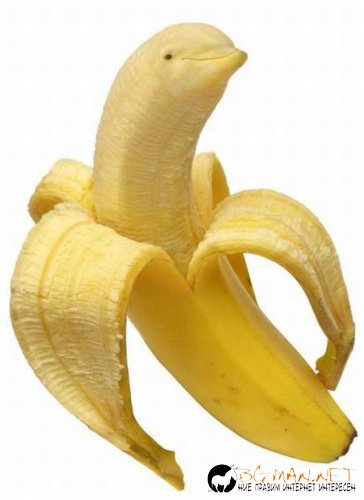 Най-интересните снимки за днес - 03.06.2010 г.